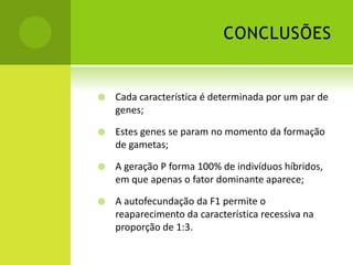 CONCLUSÕES


   Cada característica é determinada por um par de
    genes;

   Estes genes se param no momento da formação
    de gametas;

   A geração P forma 100% de indivíduos híbridos,
    em que apenas o fator dominante aparece;

   A autofecundação da F1 permite o
    reaparecimento da característica recessiva na
    proporção de 1:3.
 
