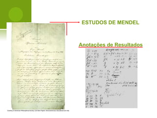 Padrões de Herança nas Populações Humanas


 ESTUDOS DE MENDEL



Anotações de Resultados
 