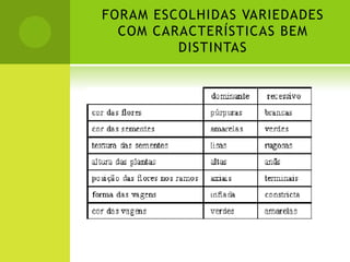 FORAM ESCOLHIDAS VARIEDADES
  COM CARACTERÍSTICAS BEM
         DISTINTAS
 