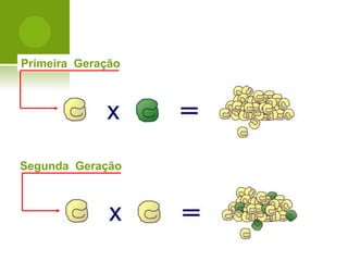 Padrões de Herança nas Populações Humanas




Primeira Geração




Segunda Geração
 