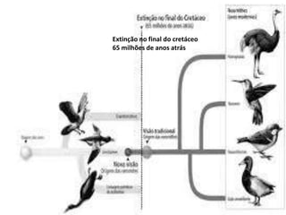 Extinção no final do cretáceo
65 milhões de anos atrás

 