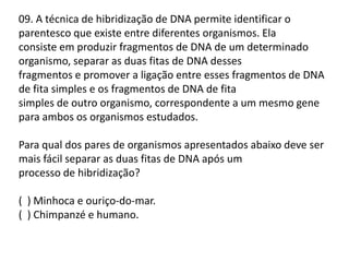 09. A técnica de hibridização de DNA permite identificar o
parentesco que existe entre diferentes organismos. Ela
consiste em produzir fragmentos de DNA de um determinado
organismo, separar as duas fitas de DNA desses
fragmentos e promover a ligação entre esses fragmentos de DNA
de fita simples e os fragmentos de DNA de fita
simples de outro organismo, correspondente a um mesmo gene
para ambos os organismos estudados.
Para qual dos pares de organismos apresentados abaixo deve ser
mais fácil separar as duas fitas de DNA após um
processo de hibridização?
( ) Minhoca e ouriço-do-mar.
( ) Chimpanzé e humano.

 