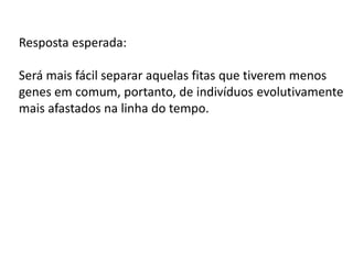 Resposta esperada:
Será mais fácil separar aquelas fitas que tiverem menos
genes em comum, portanto, de indivíduos evolutivamente
mais afastados na linha do tempo.

 