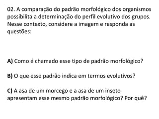 02. A comparação do padrão morfológico dos organismos
possibilita a determinação do perfil evolutivo dos grupos.
Nesse contexto, considere a imagem e responda as
questões:

A) Como é chamado esse tipo de padrão morfológico?
B) O que esse padrão indica em termos evolutivos?

C) A asa de um morcego e a asa de um inseto
apresentam esse mesmo padrão morfológico? Por quê?

 