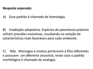 Resposta esperada:
A) Esse padrão é chamado de homologia.

B) Irradiação adaptativa. Espécies de parentesco próximo
sofrem pressões evolutivas, resultando na seleção de
características mais favoráveis para cada ambiente.

C) Não . Morcegos e insetos pertencem á filos diferentes
e possuem um diferente ancestral, neste caso o padrão
morfológico é chamado de analogia.

 