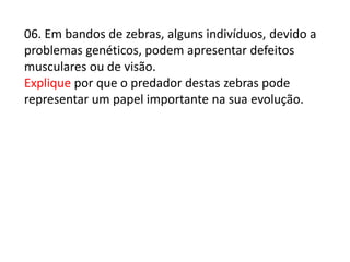 06. Em bandos de zebras, alguns indivíduos, devido a
problemas genéticos, podem apresentar defeitos
musculares ou de visão.
Explique por que o predador destas zebras pode
representar um papel importante na sua evolução.

 