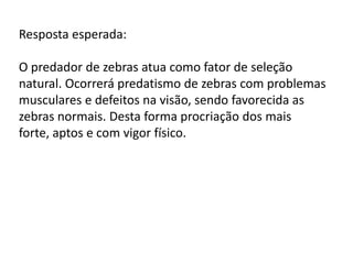 Resposta esperada:

O predador de zebras atua como fator de seleção
natural. Ocorrerá predatismo de zebras com problemas
musculares e defeitos na visão, sendo favorecida as
zebras normais. Desta forma procriação dos mais
forte, aptos e com vigor físico.

 