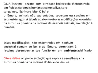 08. A lisozima, enzima com atividade bactericida, é encontrada
em fluidos corporais humanos como saliva, soro
sanguíneo, lágrima e leite. O boi e
o lêmure, animais não aparentados, secretam essa enzima em
seus estômagos. A tabela abaixo mostra as modificações ocorridas
na estrutura primária da lisozima desses dois animais, em relação à
humana.

Essas modificações, não encontradas em nenhum
ancestral comum ao boi e ao lêmure, permitiram à
lisozima desempenhar sua função em um ambiente acidificado.
Cite e defina o tipo de evolução que explica a semelhança na
estrutura primária da lisozima do boi e do lêmure.

 