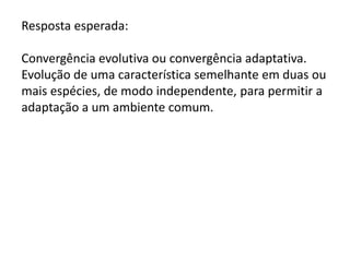 Resposta esperada:
Convergência evolutiva ou convergência adaptativa.
Evolução de uma característica semelhante em duas ou
mais espécies, de modo independente, para permitir a
adaptação a um ambiente comum.

 