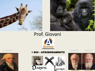 Prof. Giovani
LAMARCK

+ BIO - APRIMORAMENTO

DARWIN

WALACE

 