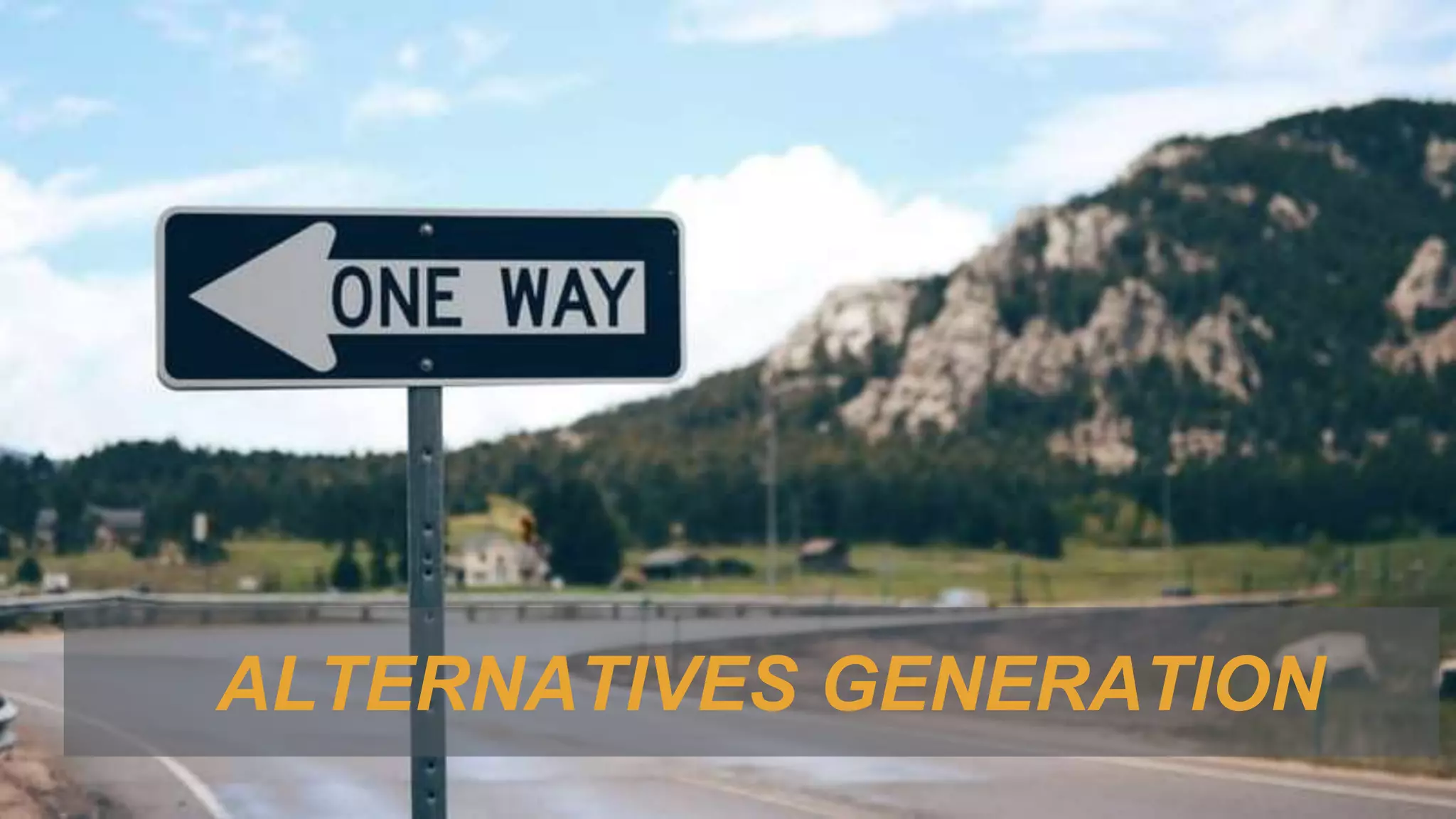 ALTERNATIVES GENERATION
 