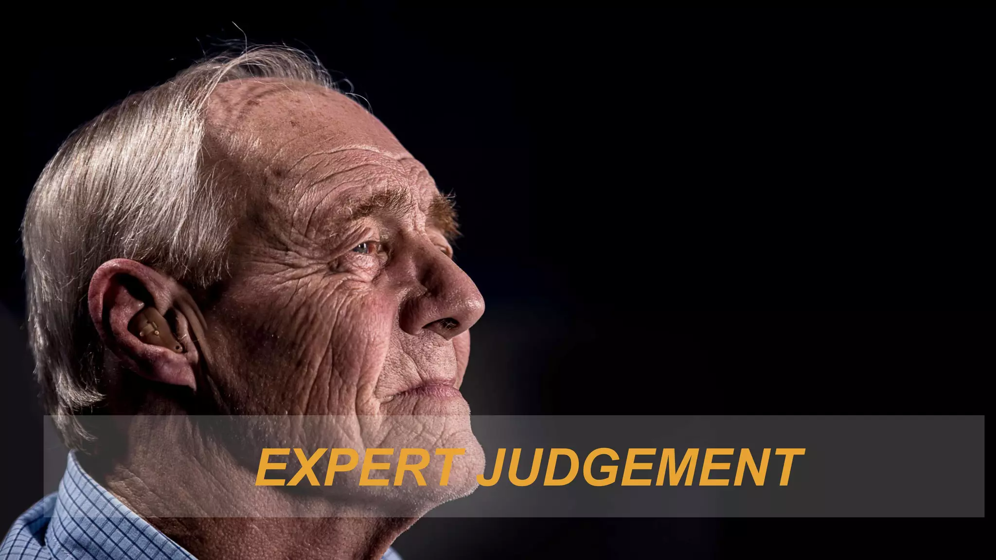 EXPERT JUDGEMENT
 