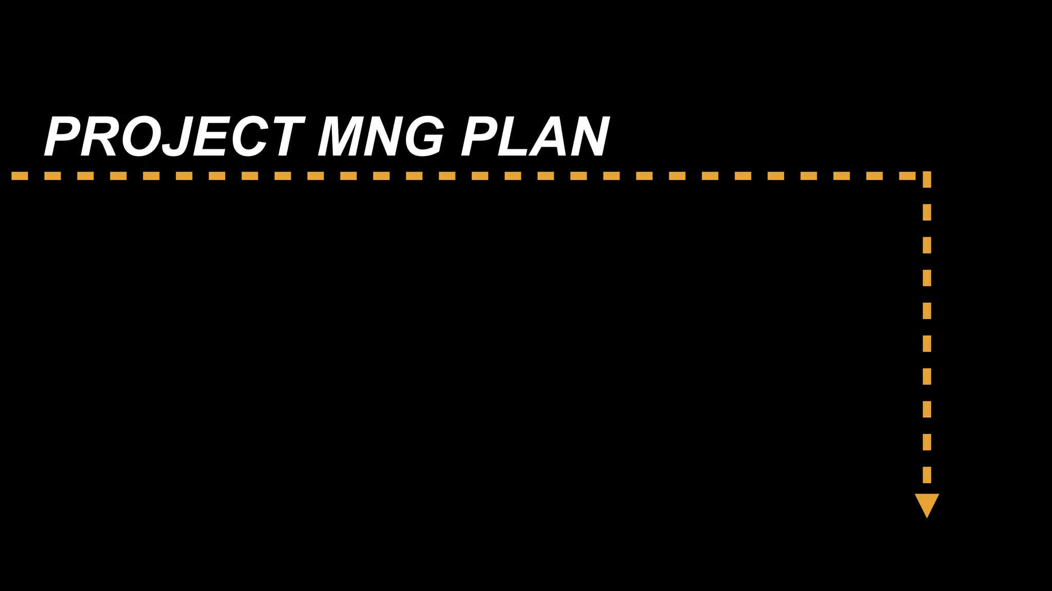 PROJECT MNG PLAN
 