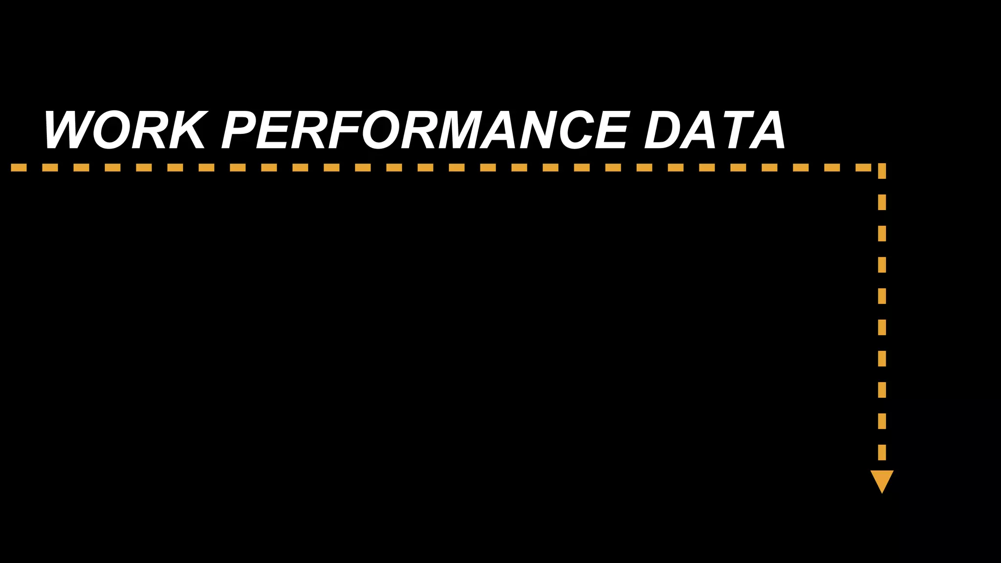 WORK PERFORMANCE DATA
 