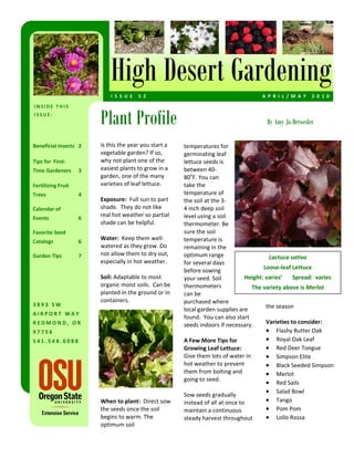 High Desert Gardening
                              I S S U E   5 2                                             A P R I L / M A Y   2 0 1 0  




                          Plant Profile
INSIDE THIS 
ISSUE: 
                                                                                            By Amy Jo Detweiler

Beneficial Insects  2     Is this the year you start a    temperatures for 
                          vegetable garden? If so,        germinating leaf 
Tips for  First‐          why not plant one of the        lettuce seeds is 
Time Gardeners       3    easiest plants to grow in a     between 40‐
                          garden, one of the many         80oF. You can 
Fertilizing Fruit         varieties of leaf lettuce.      take the 
Trees                4 
                                                          temperature of 
                          Exposure:  Full sun to part     the soil at the 3‐
Calendar of               shade.  They do not like        4 inch deep soil 
Events               6 
                          real hot weather so partial     level using a soil 
                          shade can be helpful.           thermometer. Be 
Favorite Seed                                             sure the soil 
                          Water:  Keep them well‐         temperature is 
Catalogs             6 
                          watered as they grow. Do        remaining in the 
Garden Tips          7    not allow them to dry out,      optimum range                      Lactuca sativa 
                          especially in hot weather.      for several days 
                                                                                          Loose‐leaf Lettuce 
                                                          before sowing 
                          Soil: Adaptable to most         your seed. Soil          Height: varies’       Spread:  varies 
                          organic moist soils.  Can be    thermometers                The variety above is Merlot 
                          planted in the ground or in     can be 
                          containers.                     purchased where 
3893 SW                                                                                    the season 
                                                          local garden supplies are 
AIRPORT WAY                                                                                   
                                                          found.  You can also start 
REDMOND, OR                                               seeds indoors if necessary.      Varieties to consider:   
97756                                                                                      • Flashy Butter Oak 
541.548.6088                                              A Few More Tips for              • Royal Oak Leaf 
                                                          Growing Leaf Lettuce:            • Red Deer Tongue 
                                                          Give them lots of water in       • Simpson Elite 
                                                          hot weather to prevent           • Black Seeded Simpson 
                                                          them from bolting and            • Merlot 
                                                          going to seed.   
                                                                                           • Red Sails 
                                                           
                                                          Sow seeds gradually 
                                                                                           • Salad Bowl 
                          When to plant:  Direct sow      instead of all at once to        • Tango 
                          the seeds once the soil         maintain a continuous            • Pom Pom 
                          begins to warm. The             steady harvest throughout        • Lollo Rossa  
                          optimum soil 
 