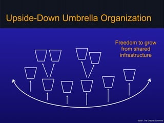 Upside-Down Umbrella Organization

                        Freedom to grow
                           from shared
        ...