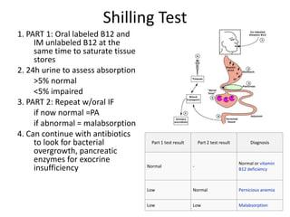 Shilling Test
1. PART 1: Oral labeled B12 and
IM unlabeled B12 at the
same time to saturate tissue
stores
2. 24h urine to assess absorption
>5% normal
<5% impaired
3. PART 2: Repeat w/oral IF
if now normal =PA
if abnormal = malabsorption
4. Can continue with antibiotics
to look for bacterial
overgrowth, pancreatic
enzymes for exocrine
insufficiency
Part 1 test result Part 2 test result Diagnosis
Normal -
Normal or vitamin
B12 deficiency
Low Normal Pernicious anemia
Low Low Malabsorption
 