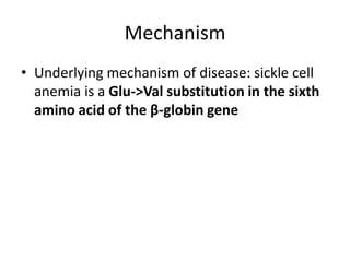 Mechanism
• Underlying mechanism of disease: sickle cell
anemia is a Glu->Val substitution in the sixth
amino acid of the β-globin gene
 
