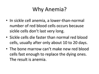 Why Anemia?
• In sickle cell anemia, a lower-than-normal
number of red blood cells occurs because
sickle cells don’t last very long.
• Sickle cells die faster than normal red blood
cells, usually after only about 10 to 20 days.
• The bone marrow can’t make new red blood
cells fast enough to replace the dying ones.
The result is anemia.
 