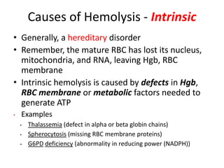 Causes of Hemolysis - Intrinsic
• Generally, a hereditary disorder
• Remember, the mature RBC has lost its nucleus,
mitochondria, and RNA, leaving Hgb, RBC
membrane
• Intrinsic hemolysis is caused by defects in Hgb,
RBC membrane or metabolic factors needed to
generate ATP
• Examples
• Thalassemia (defect in alpha or beta globin chains)
• Spherocytosis (missing RBC membrane proteins)
• G6PD deficiency (abnormality in reducing power (NADPH))
 