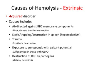 Causes of Hemolysis - Extrinsic
• Acquired disorder
• Causes include:
• Ab directed against RBC membrane components
-AIHA, delayed transfusion reaction
• Stasis/trapping/destruction in spleen (hypersplenism)
• Trauma
-Prosthetic heart valve
• Exposure to compounds with oxidant potential
-Sulfonamide in those with G6PD
• Destruction of RBC by pathogens
-Malaria, babesiosis
 