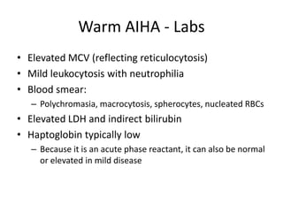 Warm AIHA - Labs
• Elevated MCV (reflecting reticulocytosis)
• Mild leukocytosis with neutrophilia
• Blood smear:
– Polychromasia, macrocytosis, spherocytes, nucleated RBCs
• Elevated LDH and indirect bilirubin
• Haptoglobin typically low
– Because it is an acute phase reactant, it can also be normal
or elevated in mild disease
 