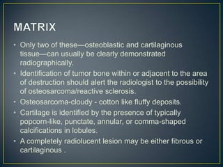• Only two of these—osteoblastic and cartilaginous
tissue—can usually be clearly demonstrated
radiographically.
• Identification of tumor bone within or adjacent to the area
of destruction should alert the radiologist to the possibility
of osteosarcoma/reactive sclerosis.
• Osteosarcoma-cloudy - cotton like fluffy deposits.
• Cartilage is identified by the presence of typically
popcorn-like, punctate, annular, or comma-shaped
calcifications in lobules.
• A completely radiolucent lesion may be either fibrous or
cartilaginous .

 