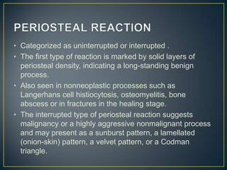 • Categorized as uninterrupted or interrupted .
• The first type of reaction is marked by solid layers of
periosteal density, indicating a long-standing benign
process.
• Also seen in nonneoplastic processes such as
Langerhans cell histiocytosis, osteomyelitis, bone
abscess or in fractures in the healing stage.
• The interrupted type of periosteal reaction suggests
malignancy or a highly aggressive nonmalignant process
and may present as a sunburst pattern, a lamellated
(onion-skin) pattern, a velvet pattern, or a Codman
triangle.

 