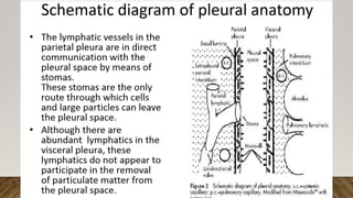 Aproach To Diagnosis of Pleural Effusion | PPTX