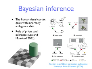 Bayesian inference
                                              Kersten.qxd                                                           12/17/2003    9:17 AM   Page 2




                                                                                                              C-2      KERSTEN    !   MAMASSIAN   !   YUILLE




•   The human visual cortex
    deals with inherently
    ambiguous data.
•

                          Annu. Rev. Psychol. 2004.55:271-304. Downloaded from arjournals.annualreviews.org
    Role of priors and



                                by University of California - Berkeley on 08/26/09. For personal use only.
    inference (Lee and
    Mumford 2003).




                                                                                                              See legend on next page
                                                                                                              Kersten et al. Object perception as Bayesian
                                                                                                                   inference. Annual Reviews (2004)
 