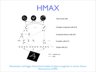articles

                                          HMAX
 was an extension of
  from simple cells4,
near (‘S’ units in the                                          View-tuned cells
plate matching, solid
 ling units6, perform-
The nonlinear MAX
                                                                Complex composite cells (C2)
m of the cell’s inputs
 the model’s proper-
near summation of
   These two types of                                           Composite feature cells (S2)
   and invariance to
 ed to different posi-
oling over afferents                                            Complex cells (C1)


                                                                Simple cells (S1)


  overlap in space
                                                                weighted sum
 of the ‘complex’
                                                                MAX
  e stimulus size,
 size invariance!
 sing a simplified
mechanism, how-
   variation, even as stimulus Poggio. Hierarchical models of object recognition in cortex. Nature
              Riesenhuber and mix up signals caused by different stimuli. However, if the affer-
 ponse would be determined                    Neuroscience (1999).
                                 ents are specific enough to respond only to one pattern, as one
 