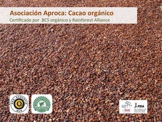  	
  	
  	
  	
  Asociación	
  Aproca:	
  Cacao	
  orgánico	
  	
  
	
  	
  	
  	
  	
  	
  	
  Cer%ﬁcado	
  por	
  	
  BCS	
  orgánico	
  y	
  Rainforest	
  Alliance	
  
 