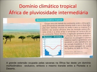 Domínio climático tropical
África de pluviosidade intermediária
A grande extensão ocupada pelas savanas na África faz deste um domínio
morfoclimático exclusivo, embora o mesmo transite entre a Floresta e o
Deserto.
 