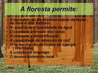 A floresta permite: A manutenção da biodiversidade da fauna , da flora e dos habitats. A  qualidade e quantidade da água O combate à erosão dos solos O combate à desertificação A capacidade de retenção de co2 O fornecimento de fontes de energia  ( biomassa)  A criação de emprego  O desenvolvimento rural 