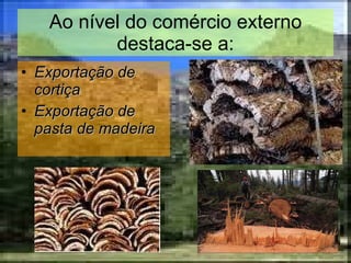 Ao nível do comércio externo destaca-se a: Exportação de cortiça Exportação de pasta de madeira 