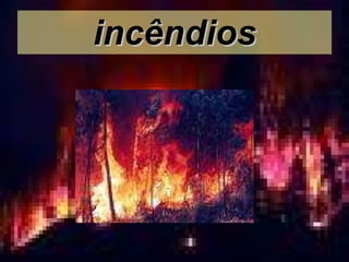 incêndios 