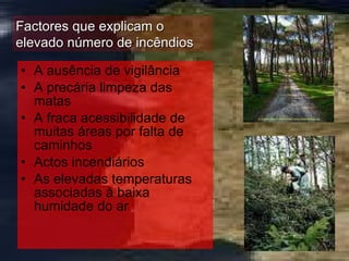 A ausência de vigilância A precária limpeza das matas A fraca acessibilidade de muitas áreas por falta de caminhos Actos incendiários  As elevadas temperaturas associadas à baixa humidade do ar Factores que explicam o elevado número de incêndios 