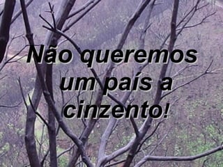 Não queremos um país a cinzento ! 
