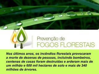 Nos últimos anos, os incêndios florestais provocaram a morte de dezenas de pessoas, incluindo bombeiros, centenas de casas foram destruídas e arderam mais de um milhão e 600 mil hectares de solo e mais de 340 milhões de árvores. 