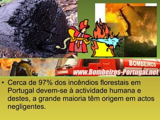 Cerca de 97% dos incêndios florestais em Portugal devem-se à actividade humana e destes, a grande maioria têm origem em actos negligentes. 