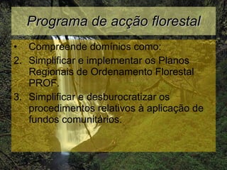Programa de acção florestal Compreende domínios como: Simplificar e implementar os Planos Regionais de Ordenamento Florestal PROF. Simplificar e desburocratizar os procedimentos relativos à aplicação de fundos comunitários. 