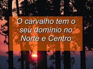 O carvalho tem o seu domínio no Norte e Centro 