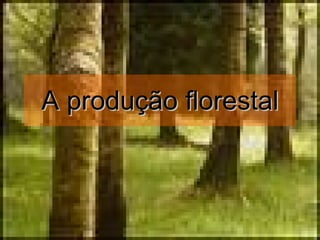 A produção florestal 