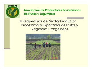 Asociación de Productores Ecuatorianos
de Frutas y Legumbres
Perspectivas del Sector Productor,
Procesador y Exportador de Frutas y
Vegetales Congelados
 
