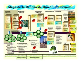 Precio de Venta al
Consumidor
US$ 1.80 /Kg. USA US$
2.80 – 3.00/Kg. Europa
ConsumoProvedores
de Insumos
Productores
de Brócoli
Procesadores
de Brócoli
TransporteComercialización
Productores
de Plántulas
Pilvicsa
Nintanga
Asvegetal
Productores
de gran escala
(>100 ha)
Nintanga
Brocoagro
Productores de
mediana escala
(20-100 ha)
Productores de
pequeña escala
(>20 ha)
Los productores de mediana
y pequeña escala producen
Precio de Venta
US$ 0.0103 / plántula
Valor de la
producción de
330 millones
de plántulas =
US$ 3.4 millones
Precio de Compra
en Planta
US$ 0.18 – 0.22 / Kg.
Transportadores
marítimos
Costo de Transporte
US$ 0.20 – 0.35 /Kg.
Costo de Procesamiento
US$ 0.36 – 0.42 /Kg.
Rendimiento 54 % Buena relación
entre procesadores
y transportadores,
pero problemas por
precios
Excelentes
relaciones entre
procesadores e
importadores
Precio de Venta
en Planta a granel
US$ 0.80 / Kg.
Mercado en
crecimiento con
99% de las ventas
a:
Europa
E.E.U.U.
Japón
ProduccióndeBrócoli(36,000
ton)–3%Pérdidas Precio Puesto en el
Mercado
Internacional
US$ 1.20 – 1.53 /Kg.
Brócoli
congelado para
el Mercado
Internacional
Supermercados
Restaurantes
Hoteles
Precio de Venta
Institucional US$
1.20 /Kg. USA US$ 1.50
/Kg. Europa
33%
47%
20%
60%
40%
Importación a
través de brokers
(a granel que se
reempaca con o
sin marca)
97%
Mapa de la Cadena de Brocoli del Ecuador
Procesadores
de brócoli
fresco a brócoli
congelado
Provefrut
Padecosa IQF
Ecofroz
Valley Foods
y pequeña escala producen
por contrato con las plantas
procesadoras
Agua
Semillas
Mano de obra
Tierra y
Suelos
Infra-estructura
90% de las semillas
importadas (74% certificadas,
20% mejoradas y 6%
comunes
Estructura de los Costos de
Producción de Semilla
Semilla (60%)
Sustrato (10%)
Infraestructura (30%)
Trámites aduaneros
Agroquímicos importados de
Canadá, Europa, E.E.U.U., Chile
y Colombia
Estructura de los Costos de
Producción de Brócoli
Insumos y Fertilizantes (28%)
Riego (10%)
Plántulas (25%)
Mano de Obra (22%)
Maquinaria (7%)
Transporte (8%)
Análisis de Suelos
Mano de obra
Empaque
Presencia de materiales extraños
Incompactación
Daño por insectos
Requisitos de Calidad
Importación a
través de brokers
(empacado para
consumo final con
marcas privadas
o blancas)
Precio de Venta en
Planta empacado
US$ 0.85 – 1.00 / Kg.
Mercado en
crecimiento
lento
Supermercado
s
Tiendas
Precio de Compra
US$ 0.40 /Kg.
Precio de
Compra
US$ 0.65 /Kg.
Hoteles
Estructura de los Costos
de Procesamiento
Costo de transporte
alto debido a:
Alto costos
operativos de
atraque/desatraque
en Guayaquil
Aumento en los
precios de los
combustibles en el
mercado
internacional
Aumento en el
costo de cruzar el
Canal de Panamá
Proveedores (incluyendo plántulas)
7-13% del precio al consumidor
Producción + Transporte Local
12-15% del precio al consumidor
Procesamiento
53-66% del precio al consumidor
Comercialización
61- 74% del precio al consumidor
Rentabilidad de la Producción
9-41%
Rentabilidad del Procesamiento
1-79%
Insumos
Agroquímicos
Insumos importados con
precios creciendo a una tasa
anual del 8%
Riego
Mano de obra
Abonos
Infra-
estructura
Tecnología de
manejo de
plagas
Tecnología
Infra-
estructura
Costo de Comisión,
Aduana y Manipuleo
US$ 0.18 /Kg.
Costo de Producción
US$ 2,200 /ha
Rendimiento 11-17
ton/ha
Costo US$ 0.13-0.20 /Kg.
Brócoli
Fresco para
el Mercado
Nacional
160 ton / mes
3%
Transporte
74- 96% del precio al consumidor
Distribución en País de Destino
100% del precio al consumidor
Energía (35%)
Material de Empaque (20%)
Mano de Obra (27-42% varía
por calidad; 38%)
Otros (Análisis, etc.) (2%)
Tratamiento de Aguas (5%)
 
