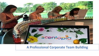 A Professional Corporate Team Building
 