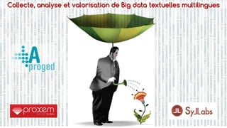 1
Collecte, analyse et valorisation de Big data textuelles multilingues
 