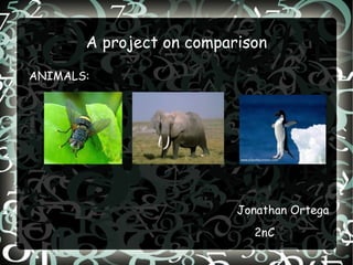 A project on comparison ,[object Object]