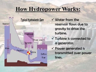 How Hydropower Works:
 Water from the
reservoir flows due to
gravity to drive the
turbine.
 Turbine is connected to
a generator.
 Power generated is
transmitted over power
lines.
 