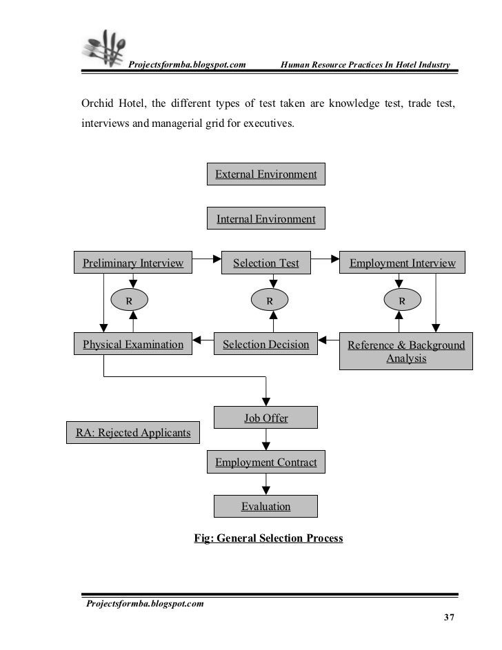 Cheap write my essay project report on hotel